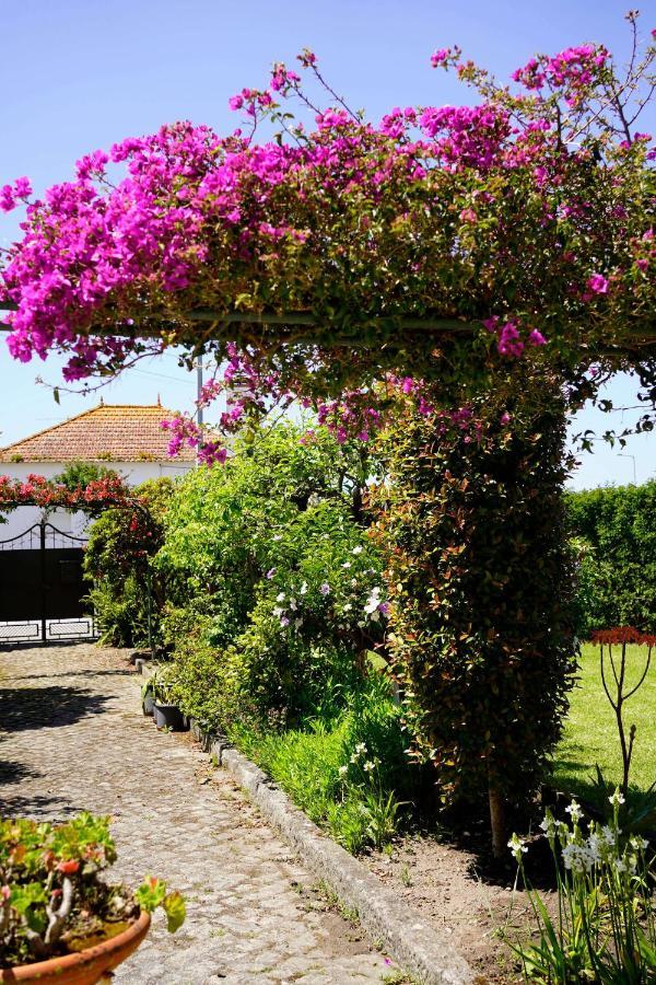 Casa Do Avo Horacio Hotel Viana do Castelo Buitenkant foto