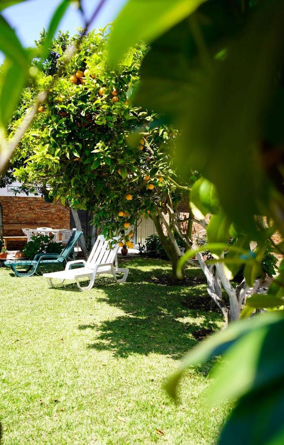 Casa Do Avo Horacio Hotel Viana do Castelo Buitenkant foto