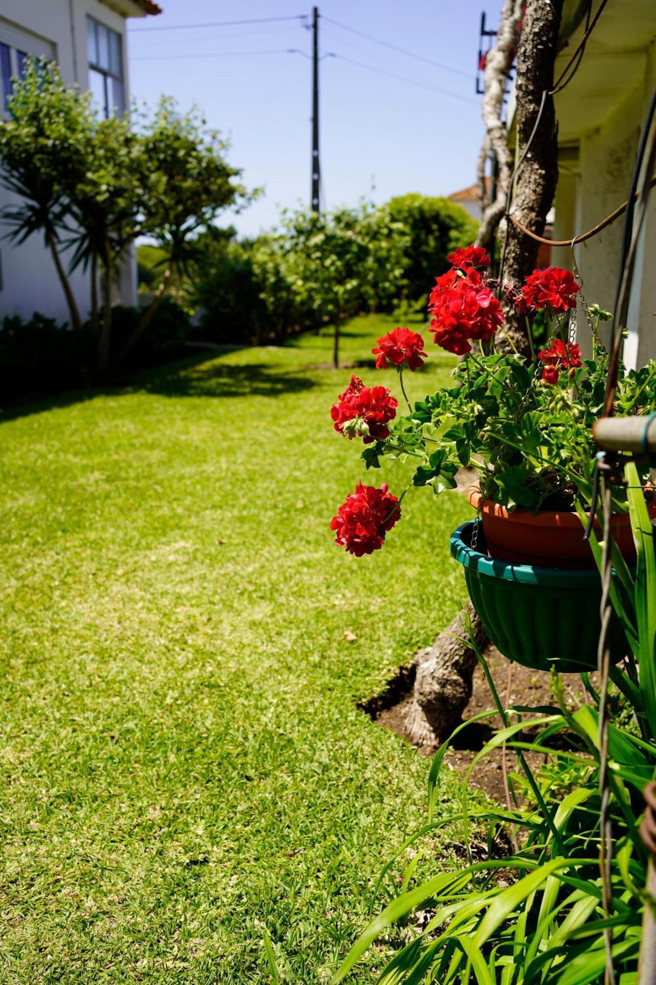Casa Do Avo Horacio Hotel Viana do Castelo Buitenkant foto